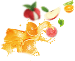 ornament-banner-bottom-fruits